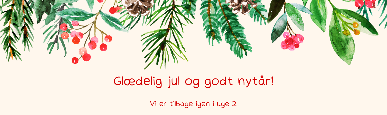 Glædelig jul og godt nytår